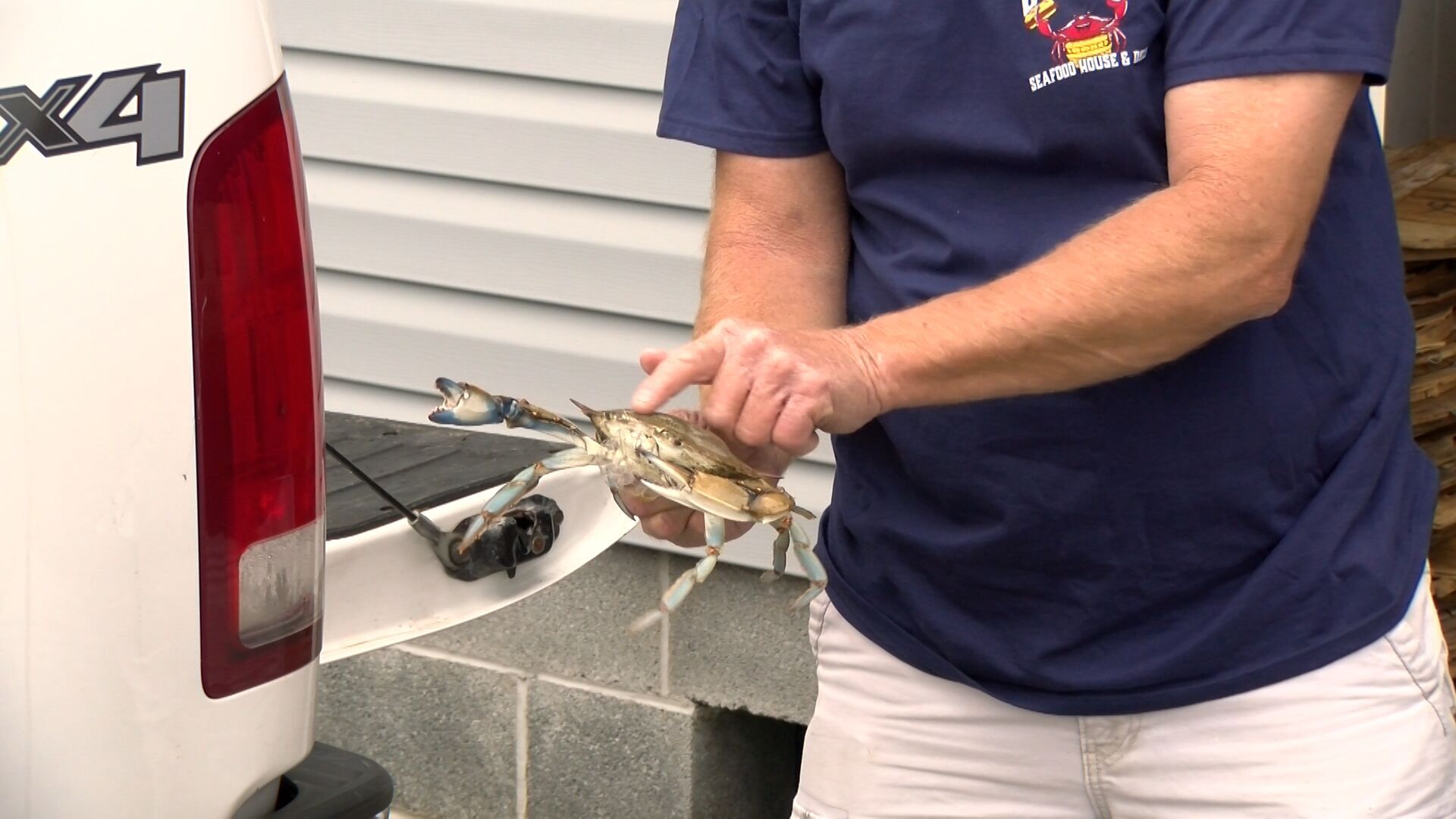 Maryland crab sellers see dip in sales despite low population numbers